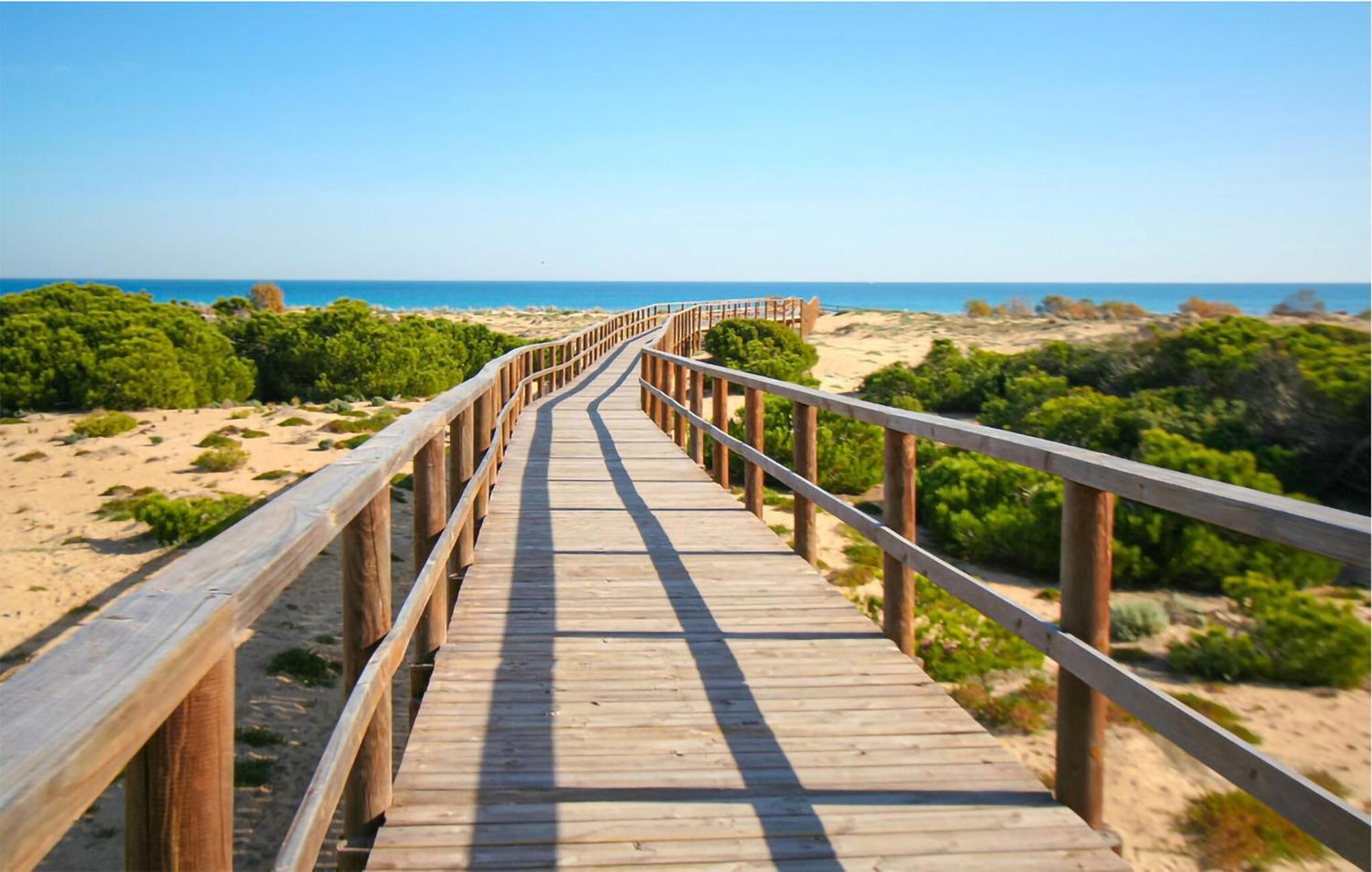 Pet Friendly In With Wifi Santa Pola