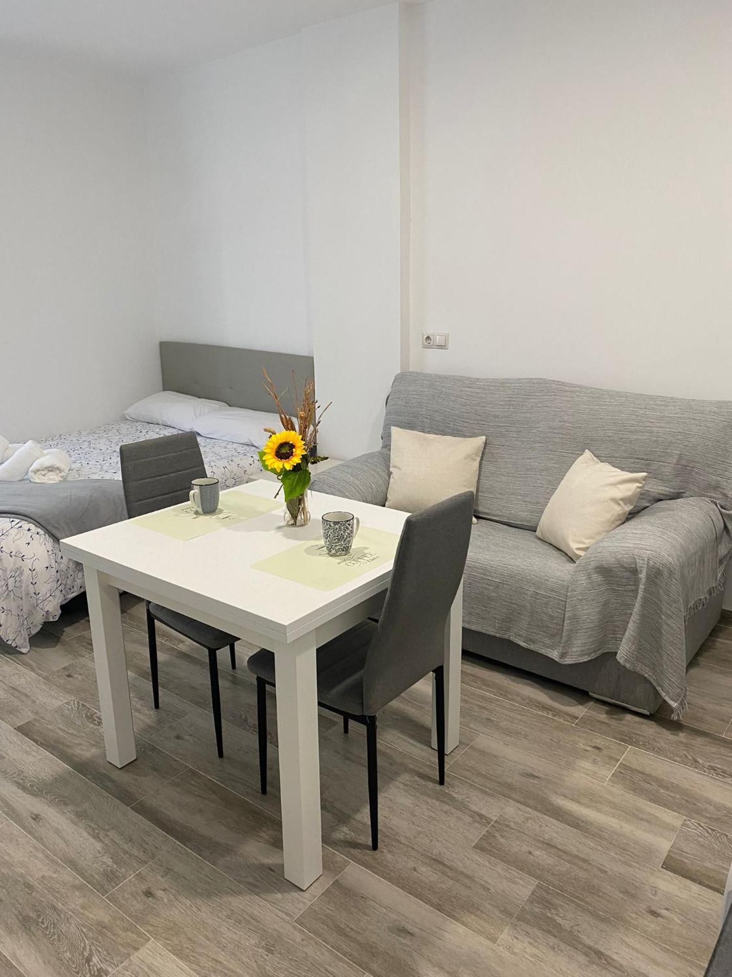Apartment Torre Centro