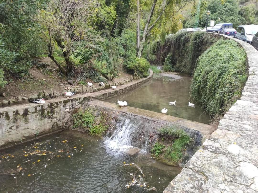 Apartamento Patos *
