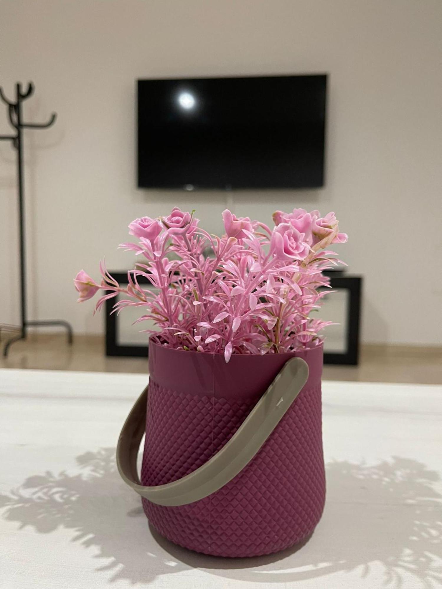 Apartment Cayla