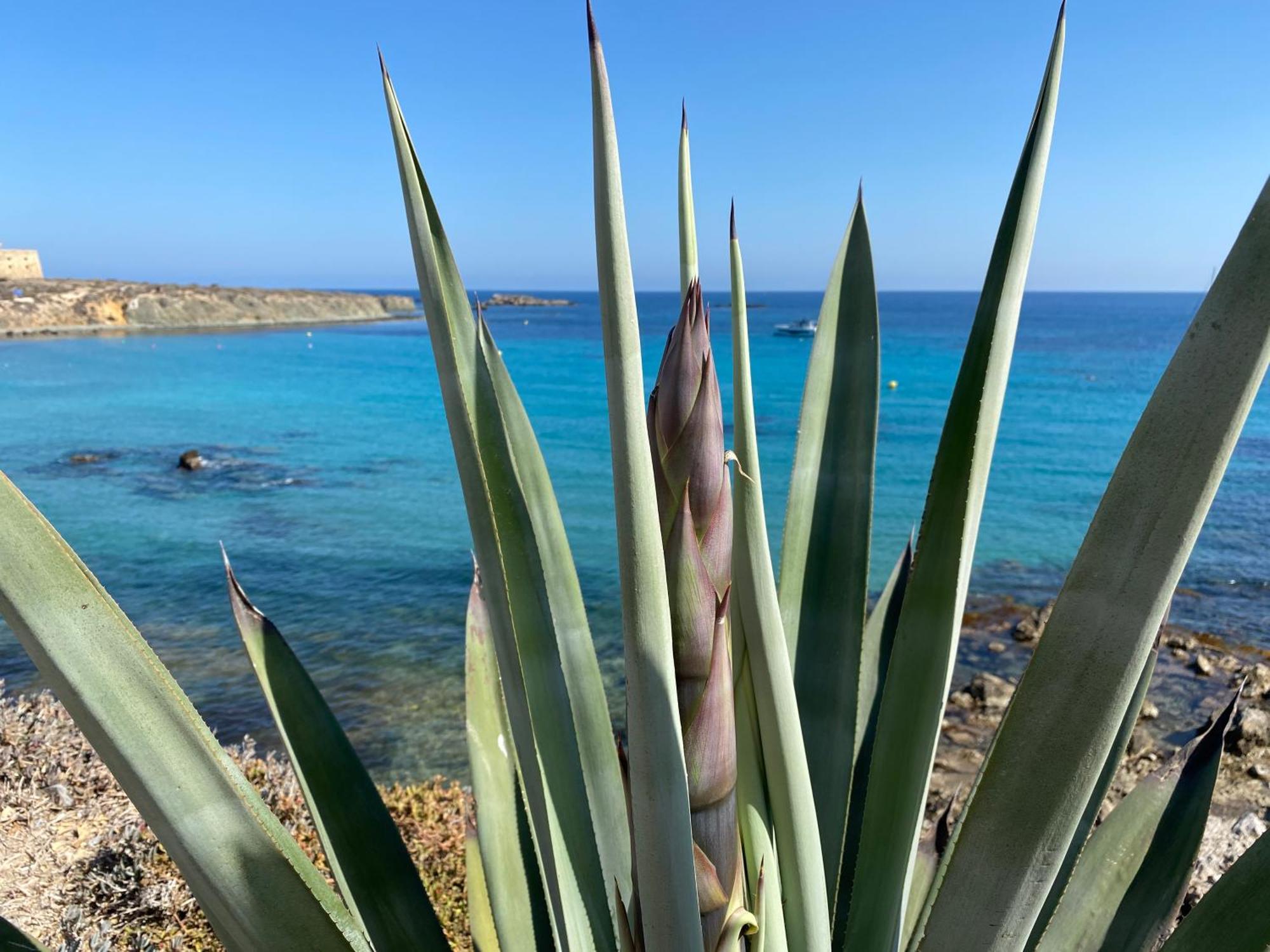 Holiday home Ocean View- Casa Freya Con Vista Al Mar- Modernes Haus Mit Meerblick Und Dachterrasse *
