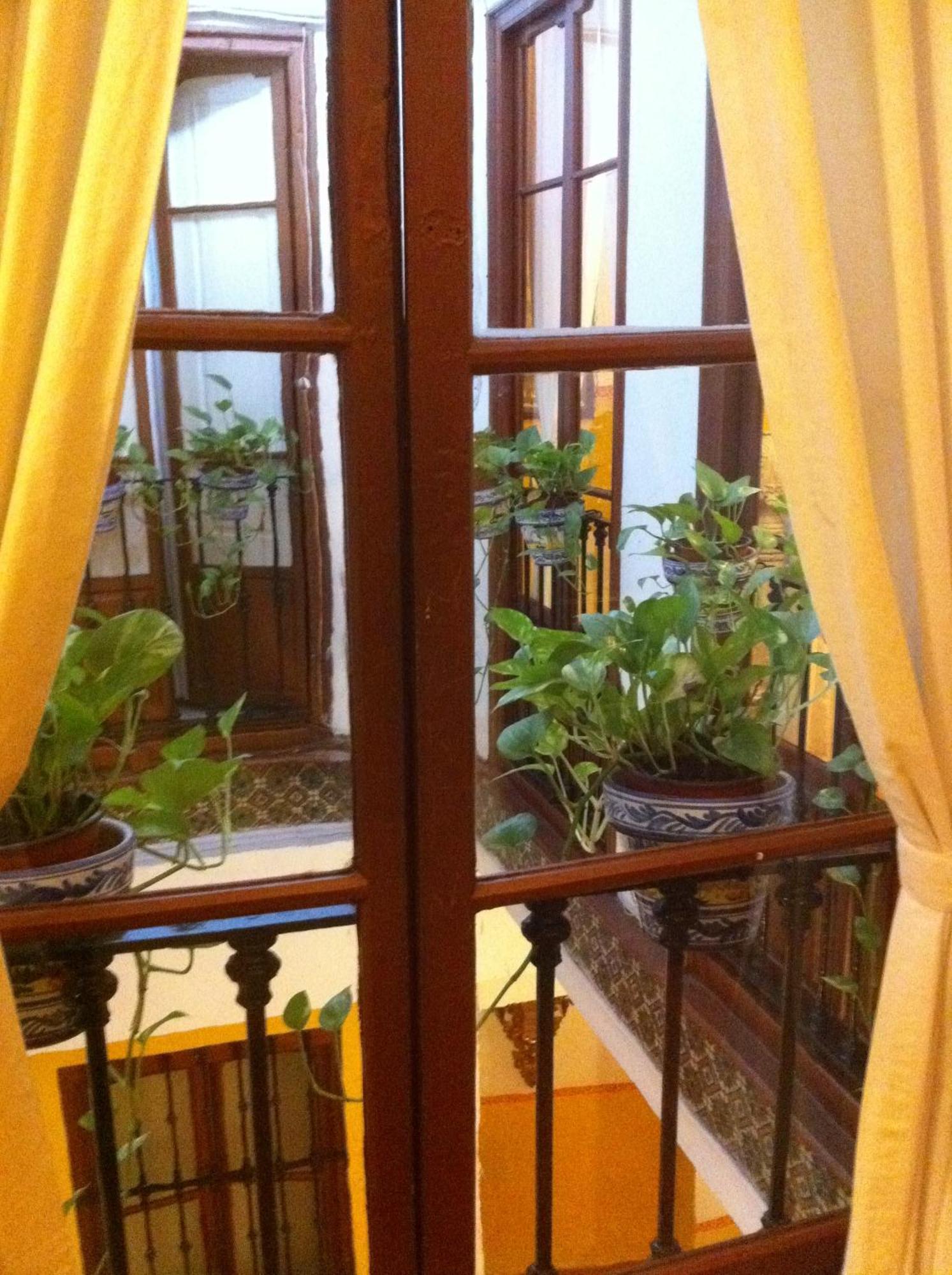 Bed and breakfast Naranjo Sevilla