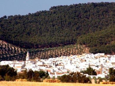 Andalou Montellano