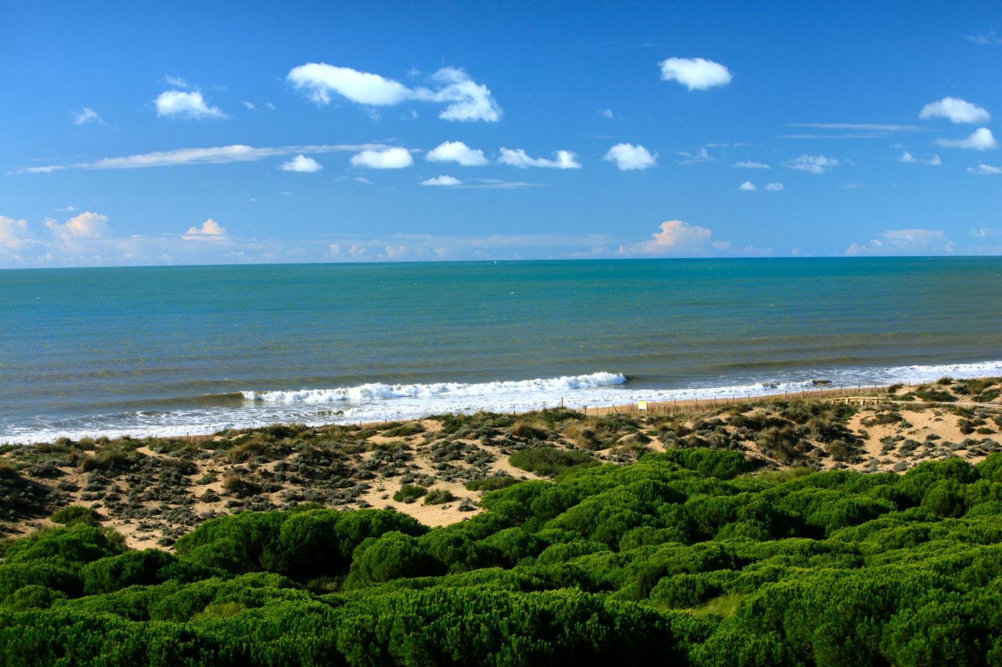 Resort Barcelo 4*