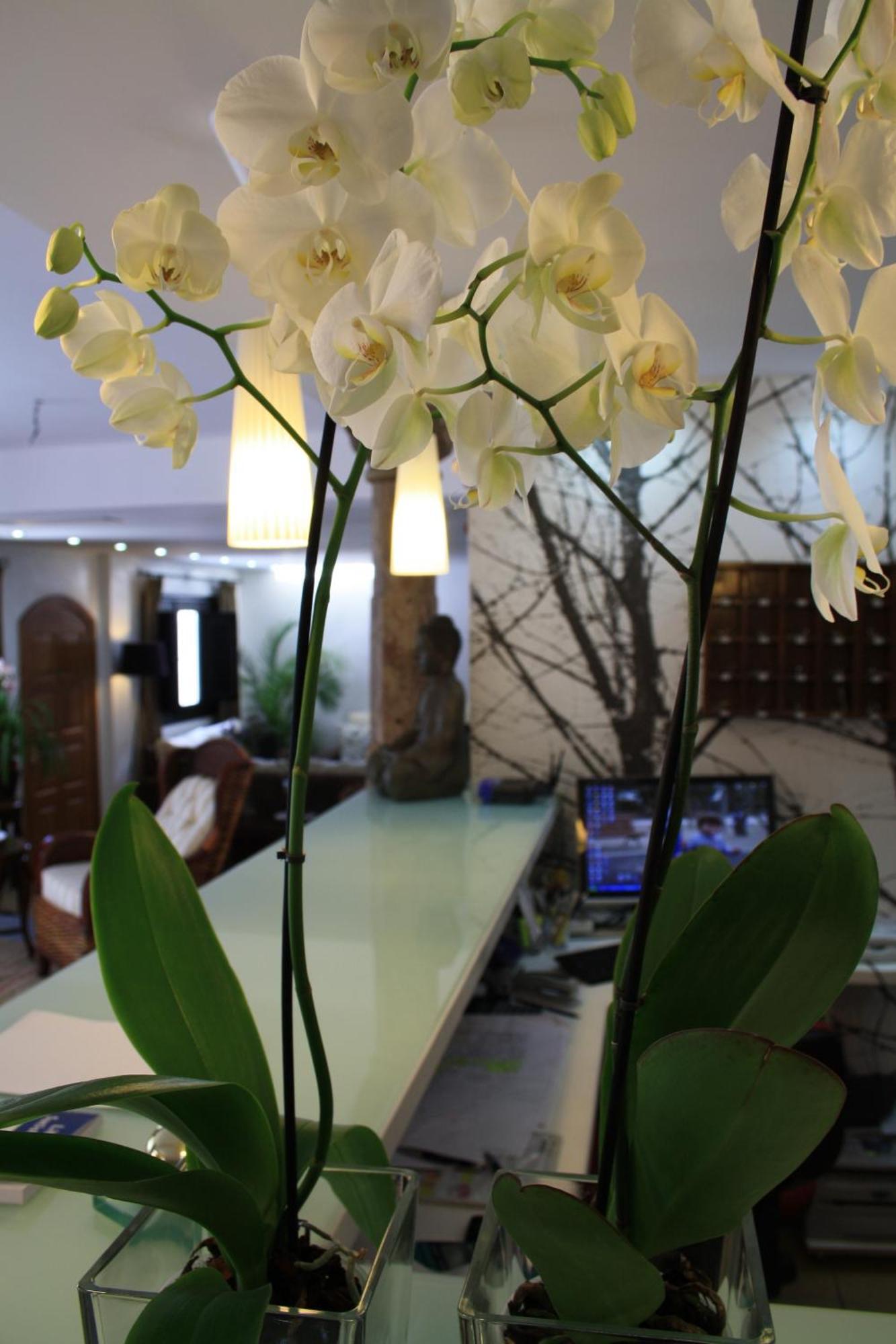 Guest house Santuario (adults Only) San Jose (Almeria)