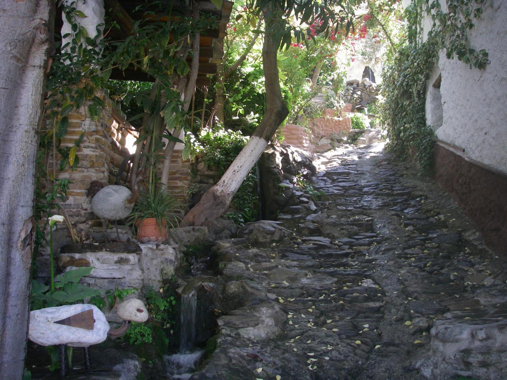 Villa Rural El Brazal