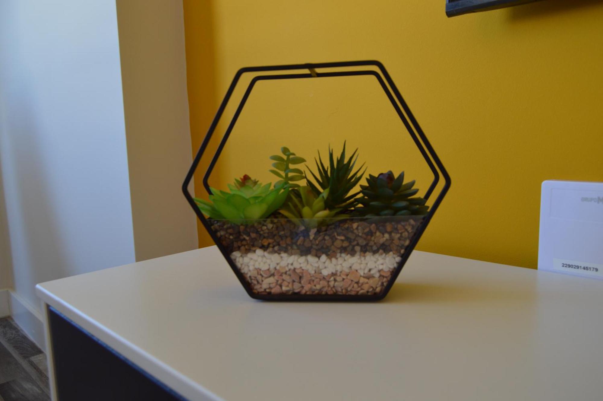 Apartment Diamond Tropical