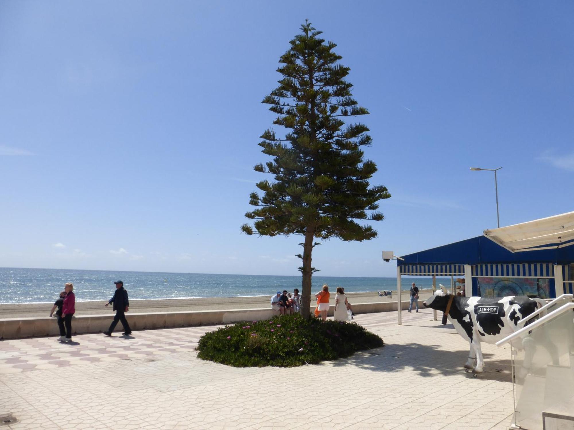Apartment 1 Bedroom Penthouse On Front Line Of The