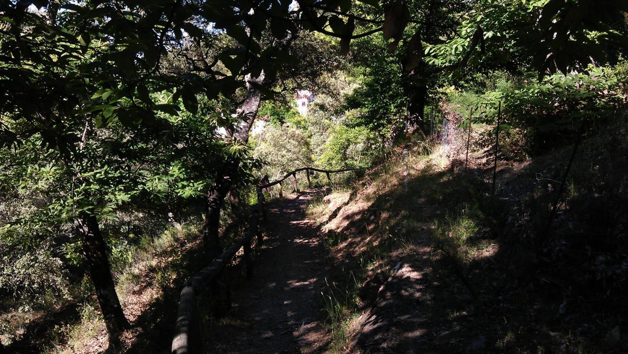 Valbono Rurales Y