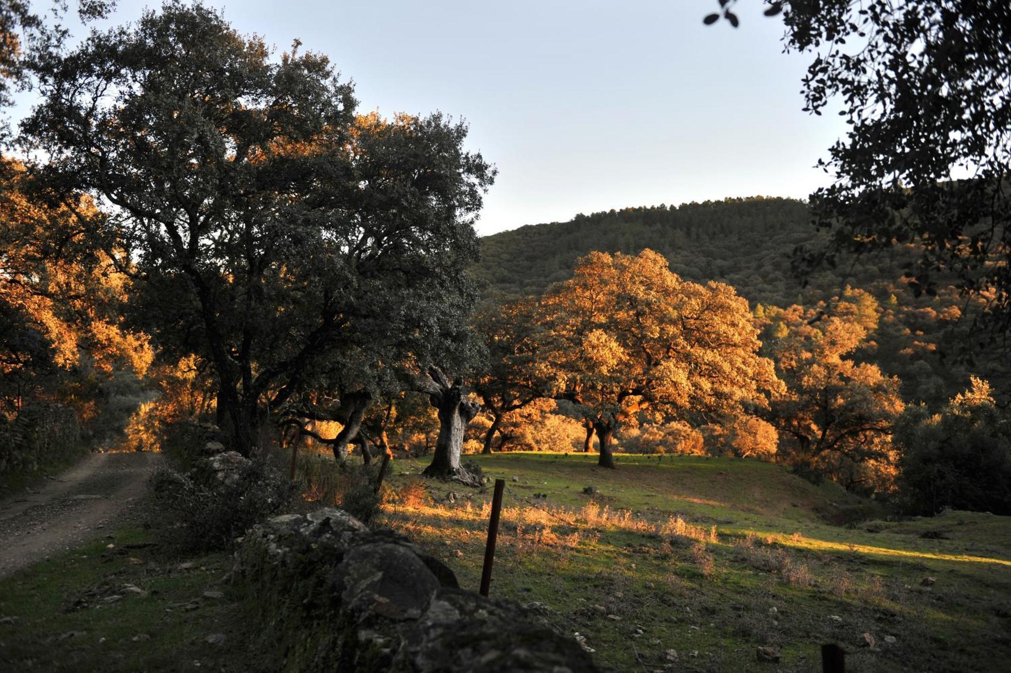 La Molinilla Y Hammam Apartamento Linares de la Sierra