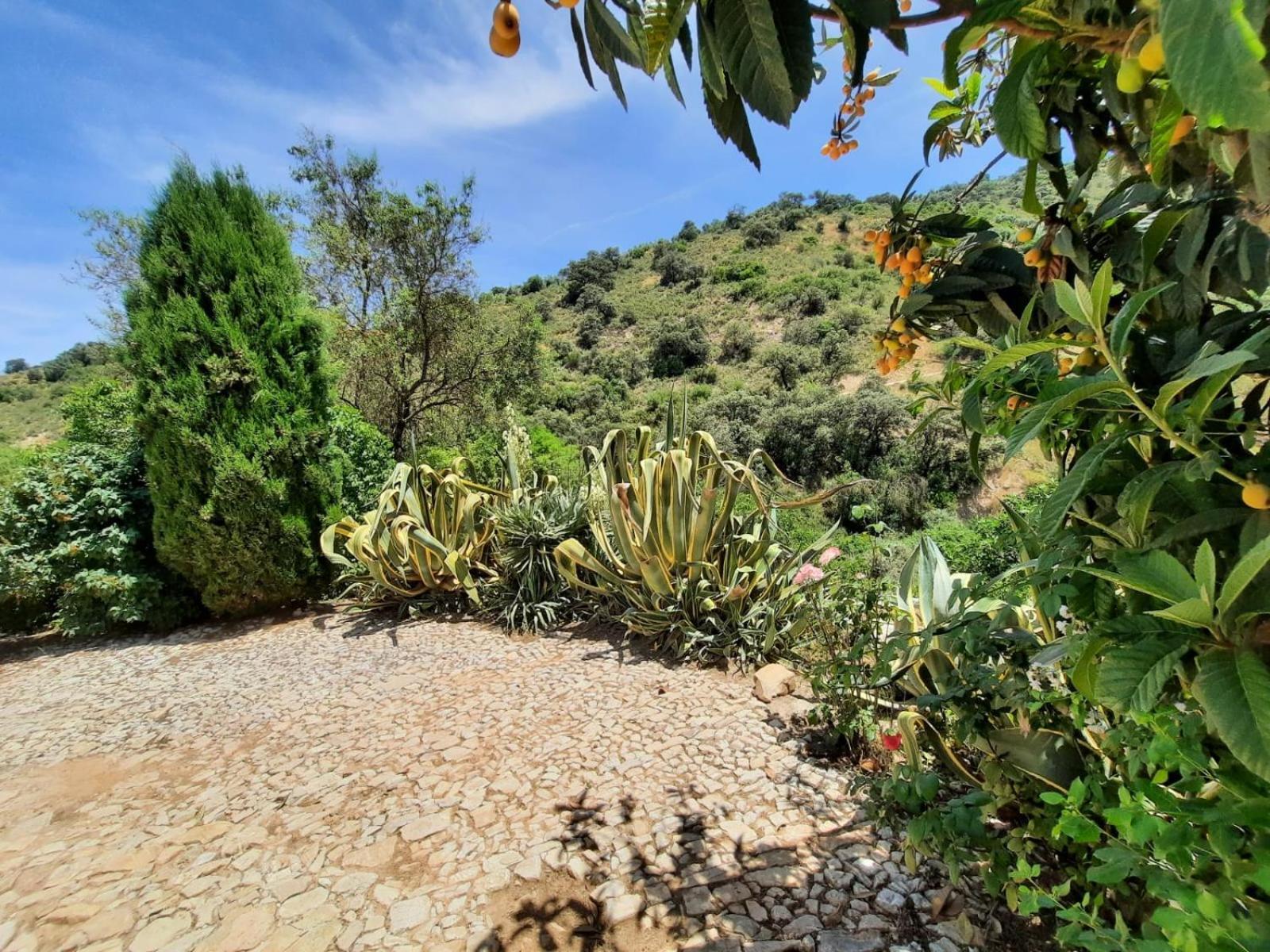 Holiday home Casa Arroyo - Rosa & Nispero *