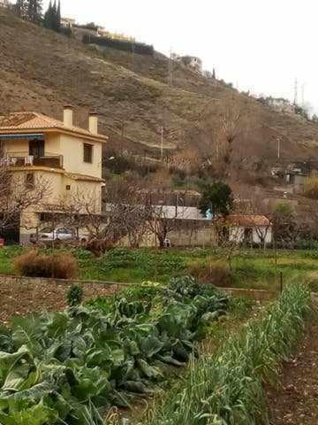 Huertas De Roque Monachil