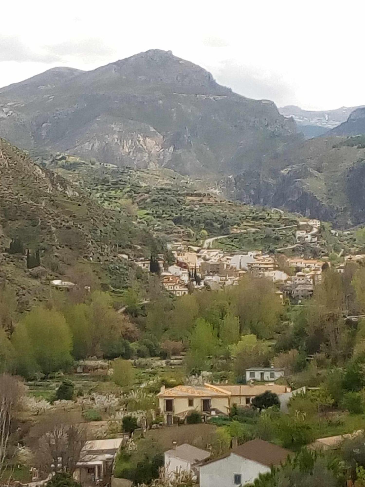 Huertas De Roque *