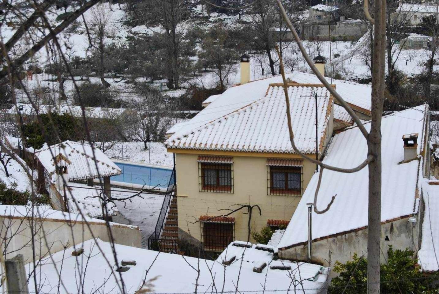 Huertas De Roque