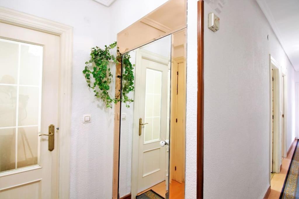 Apartamento Centro De *