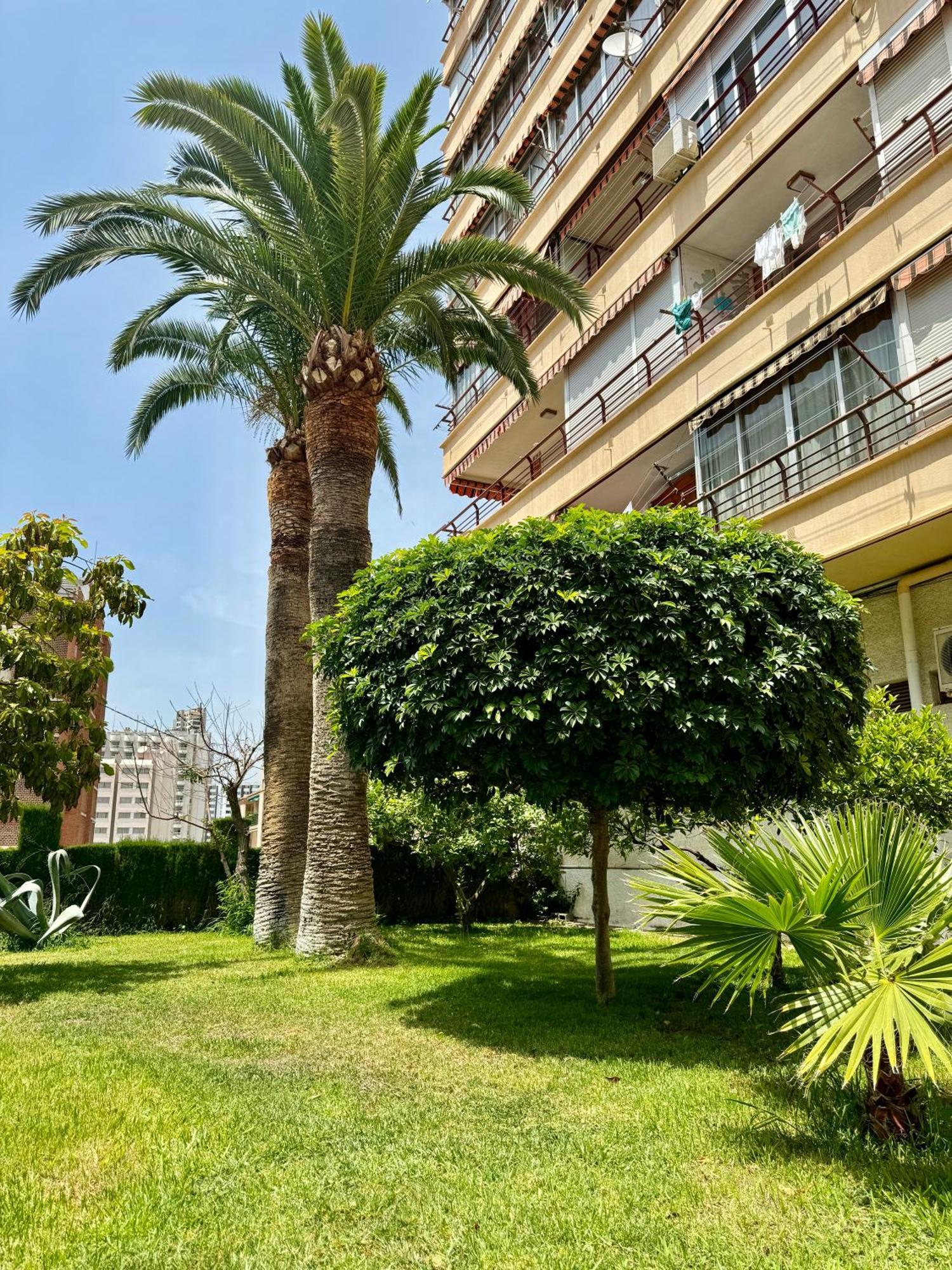 California En Benidorm, 1 Min Playa Levante, Wi-fi, Ac Y Parking * Benidorm