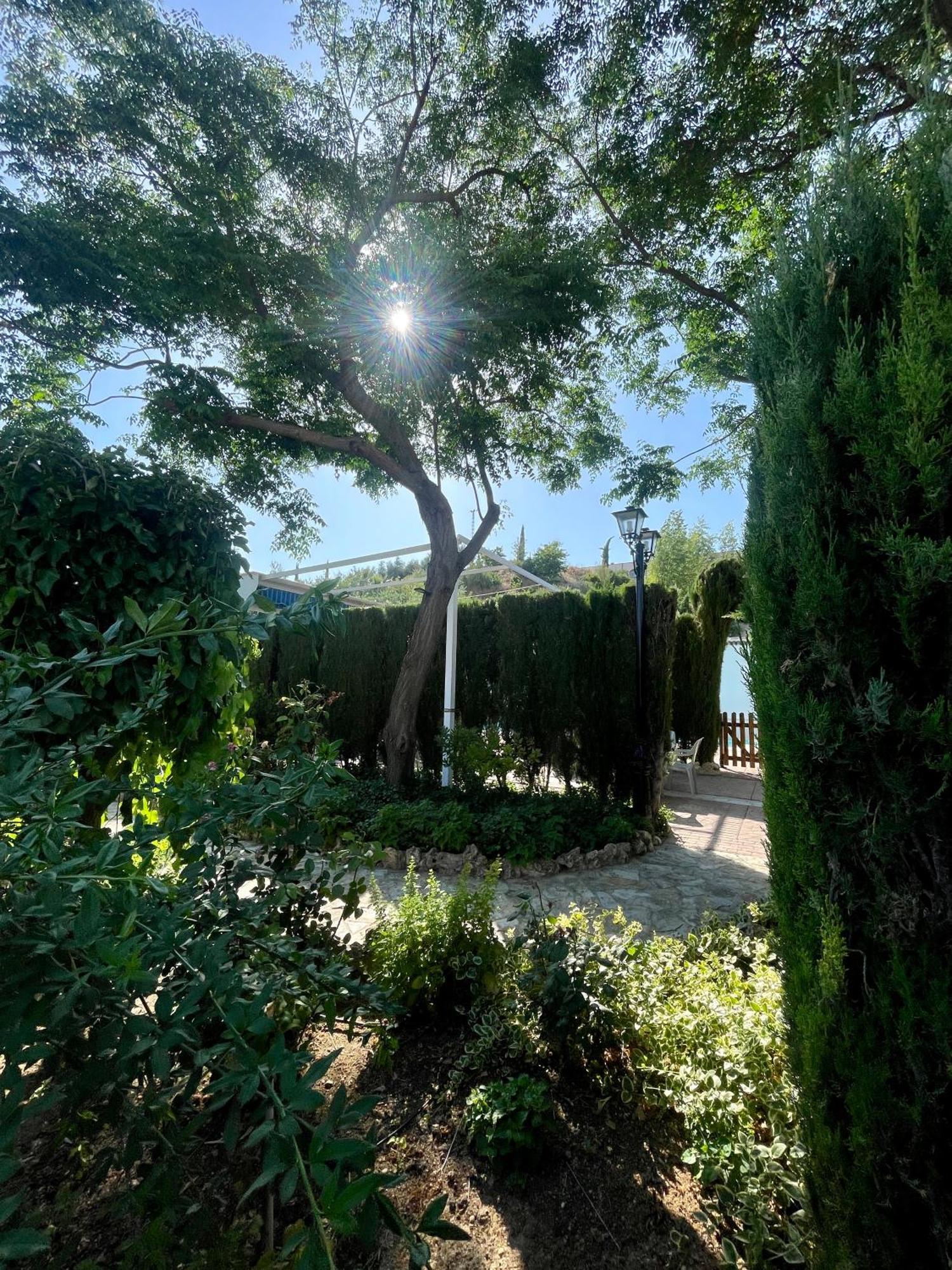 Jardin