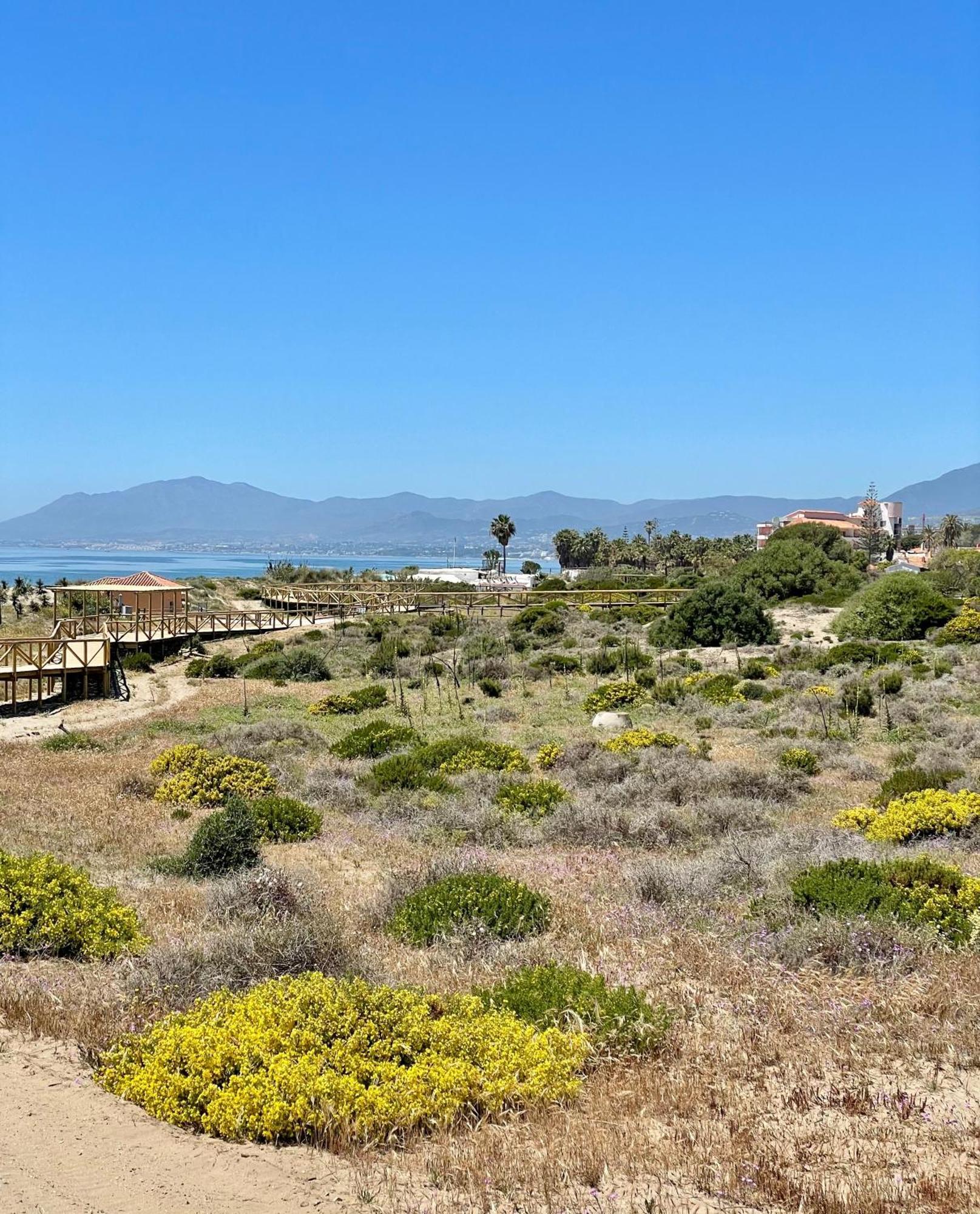 Divina Apartamento Marbella