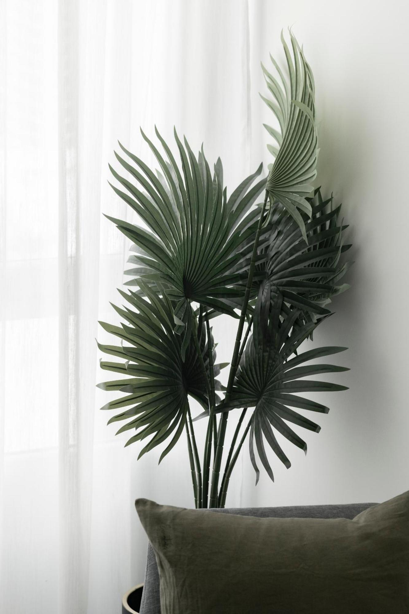 Apartamento Edificio Botanica Centro By Renthas *