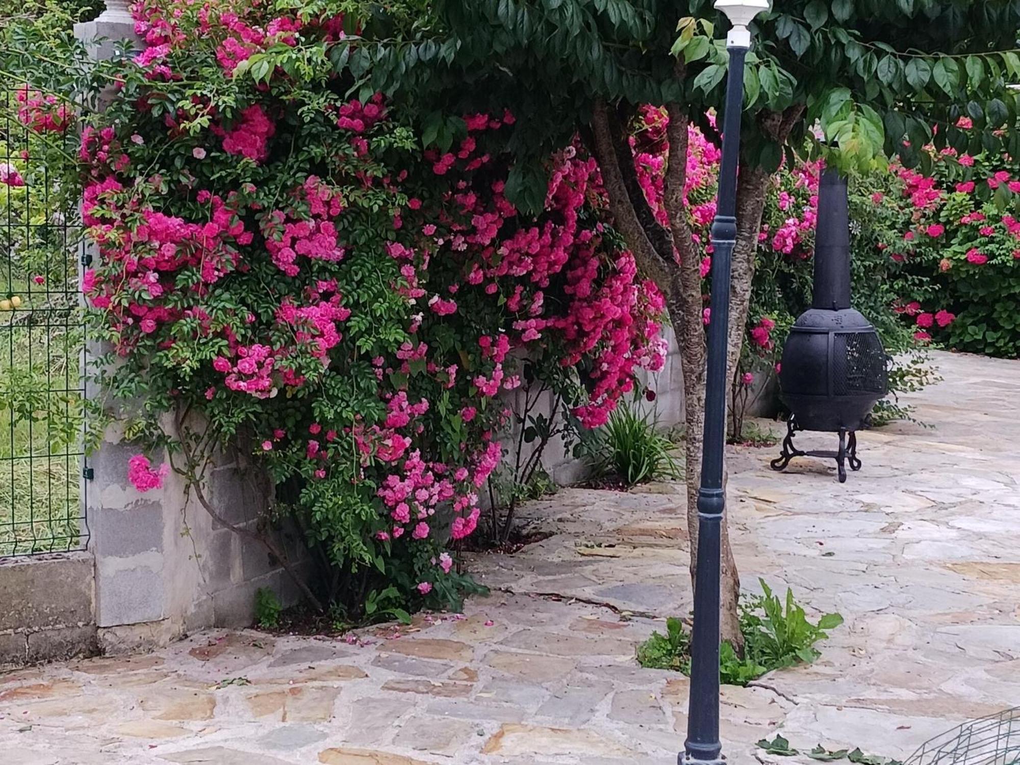 Cozy Holiday In Villanueva In A Charming Area *