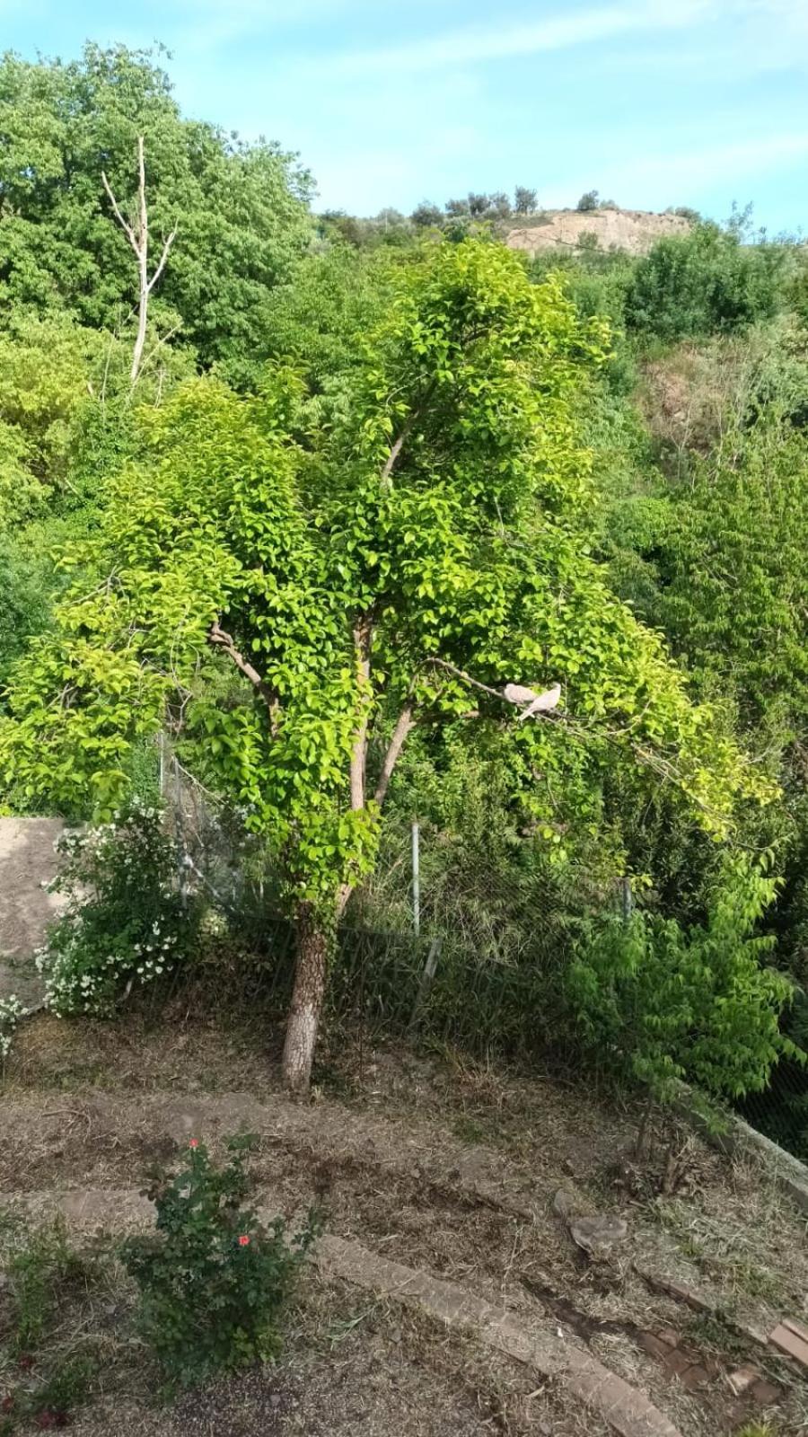 Casa Benzambra Cádiar