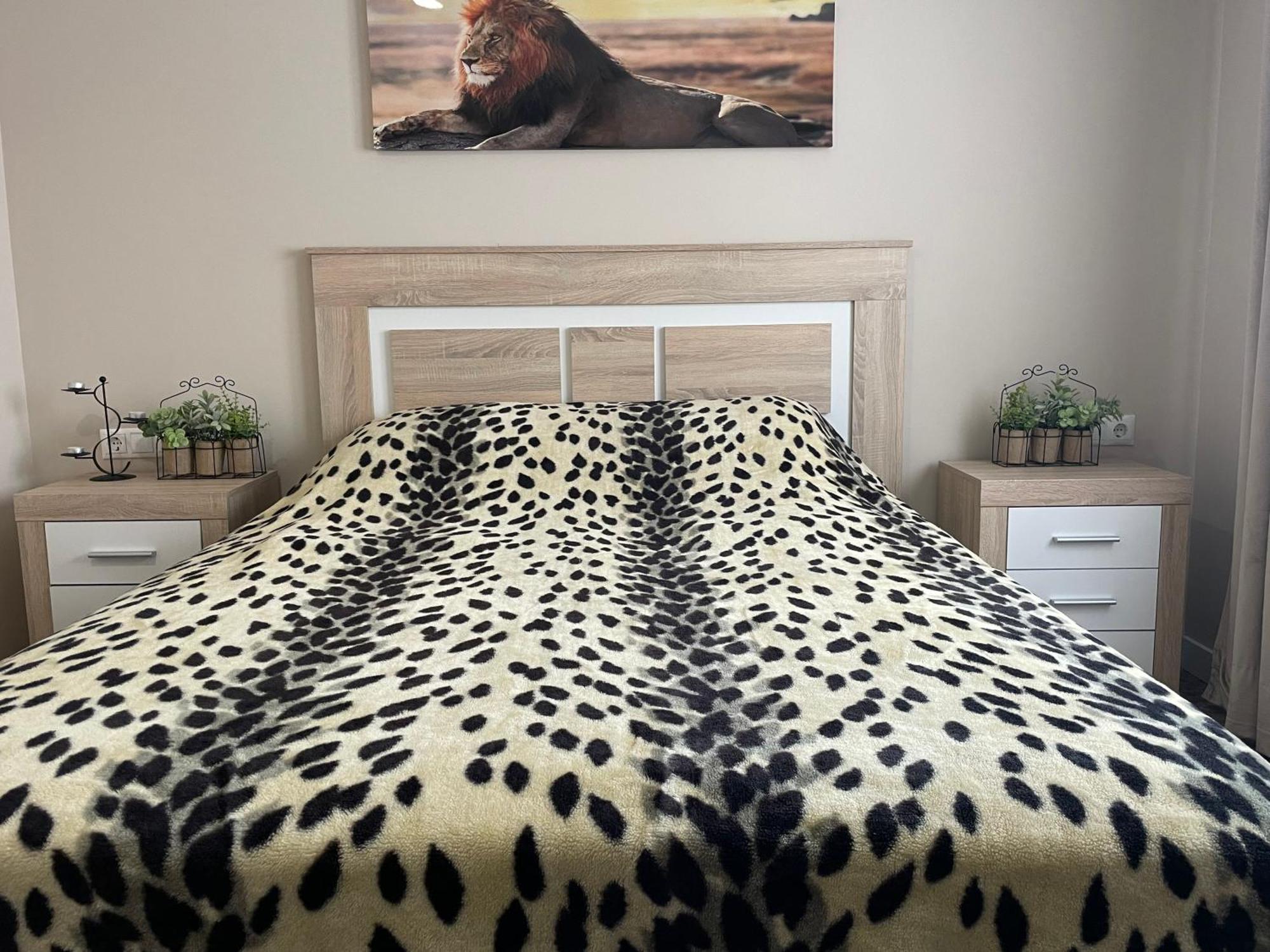 Belladorm Apartment