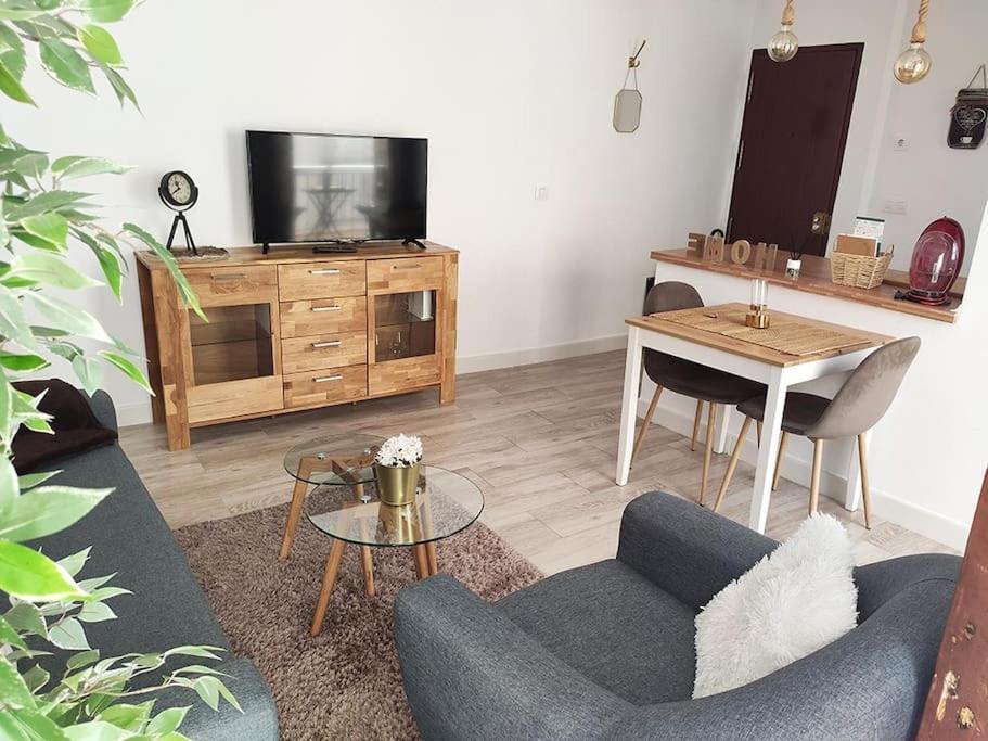 'mini Jungle' En El Corazon De Apartamento Cádiz
