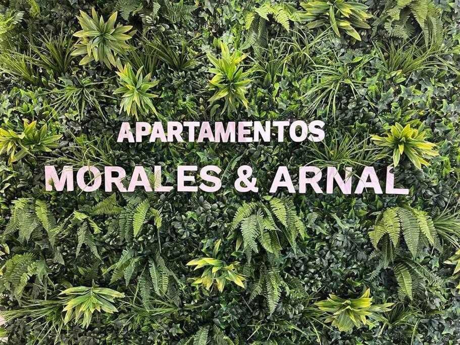 Xx D Morales & Arnal Apartamento