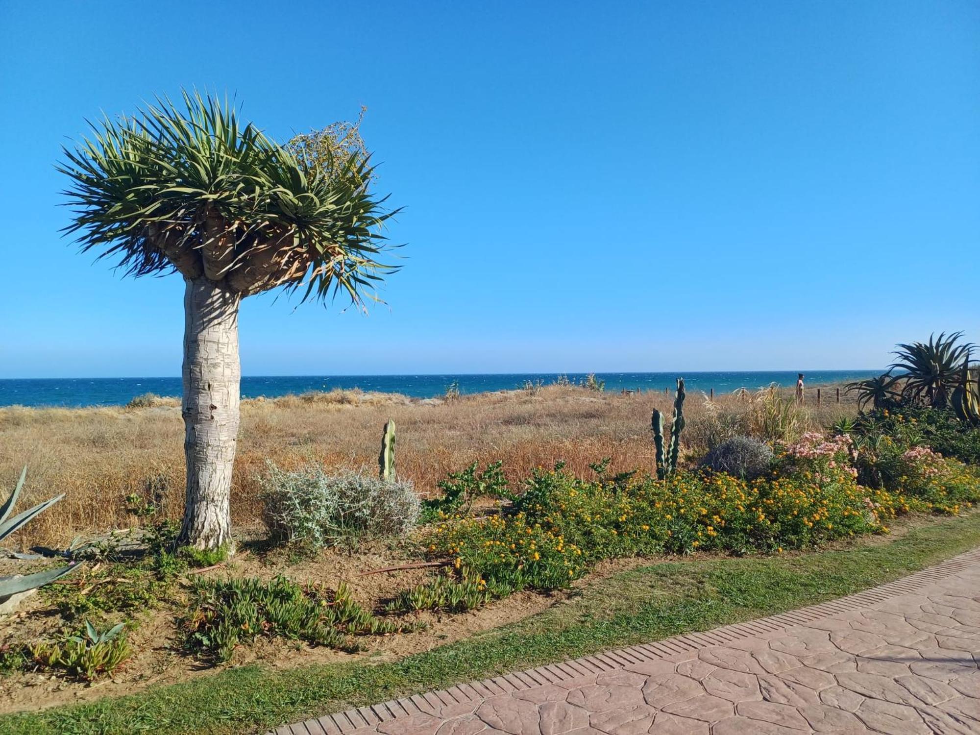 Casa Tolete * Estepona