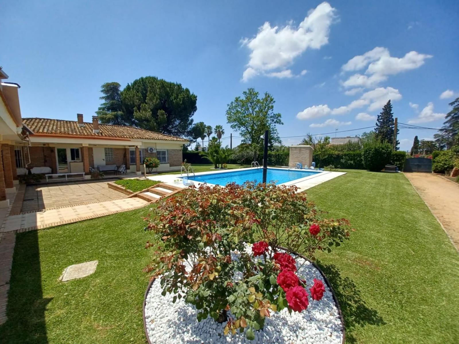 Remanso De Paz Cerca De Sevilla Dreamertu Homestay *
