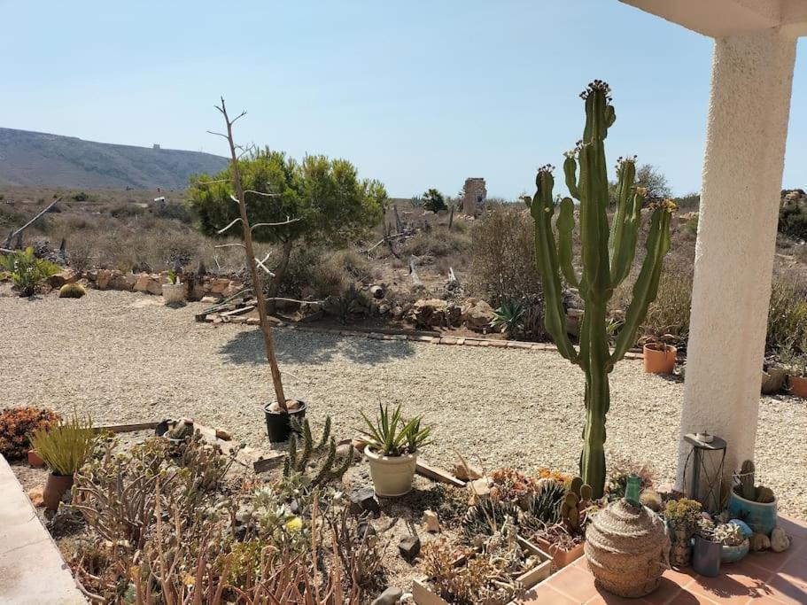 Cortijo El Ventorrillo De Agua Amarga *