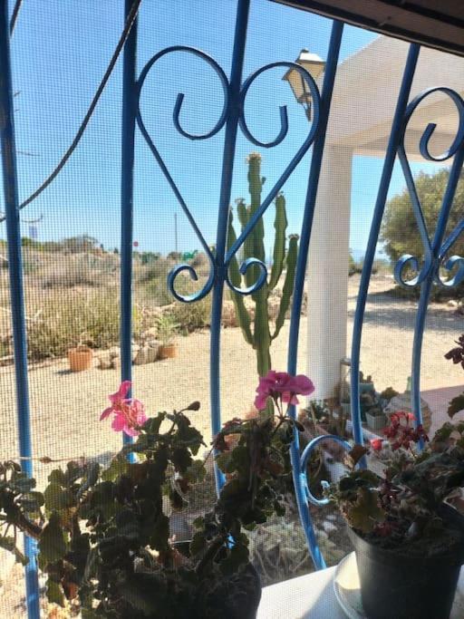 Cortijo El Ventorrillo De Agua Amarga Сasa de vacaciones *
