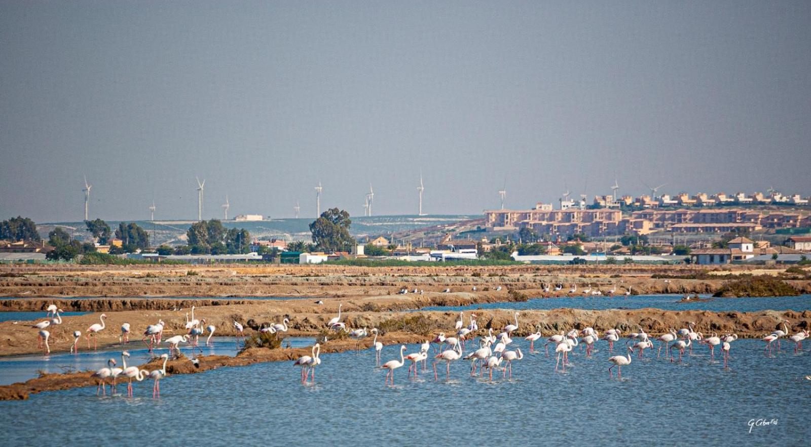 Aires Del Sur Sanlúcar de Barrameda
