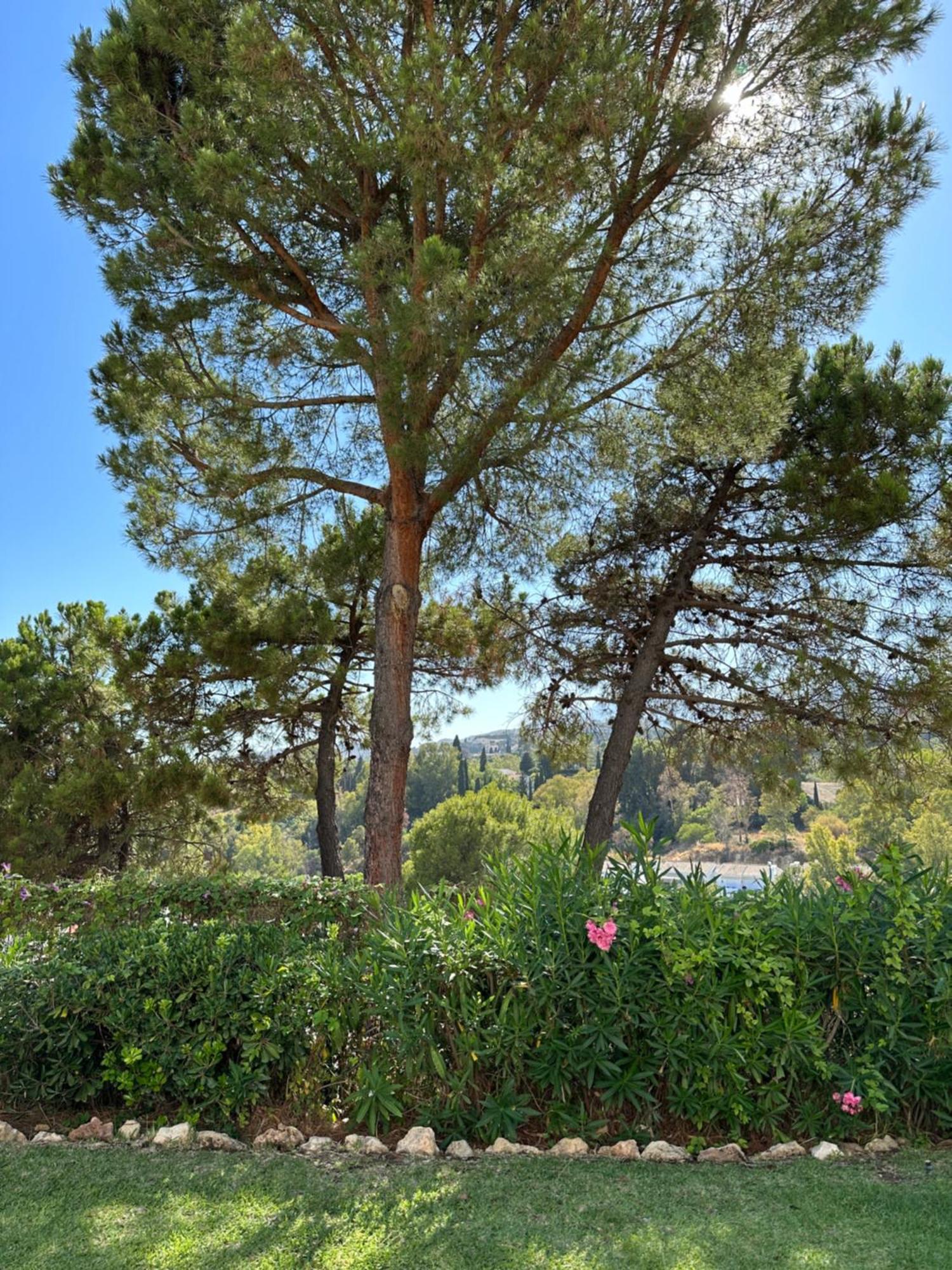 Apartment Marbella Golf Garden *