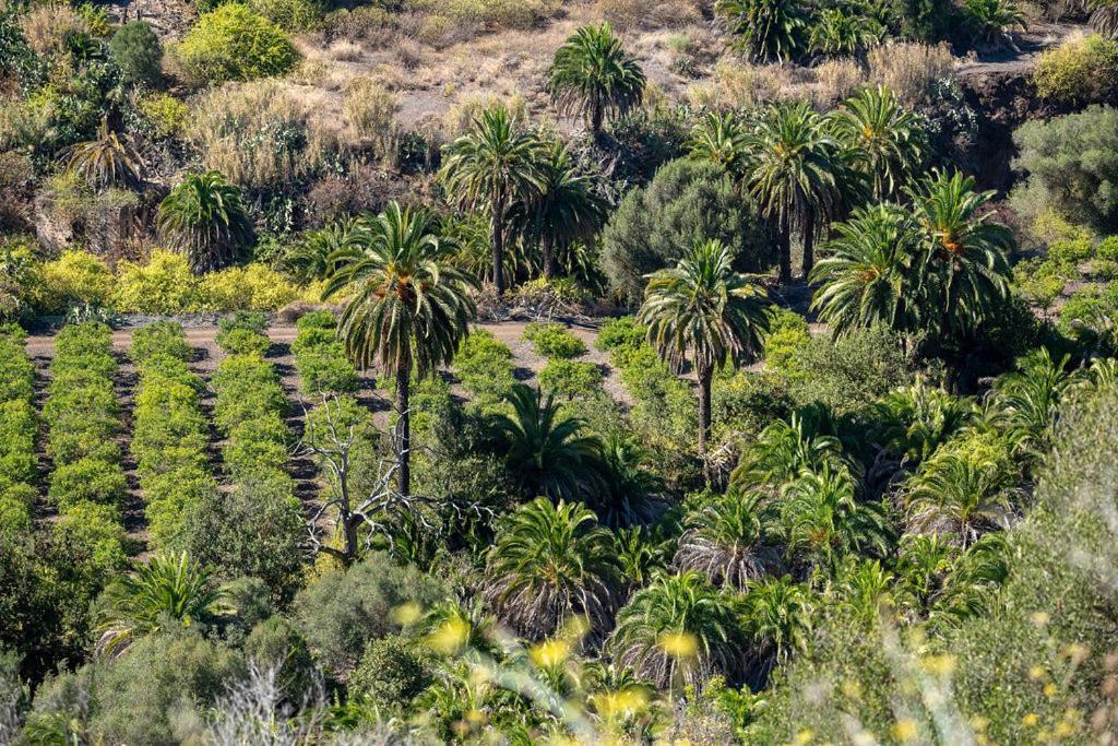 Iguazu Playa del Ingles (Gran Canaria)