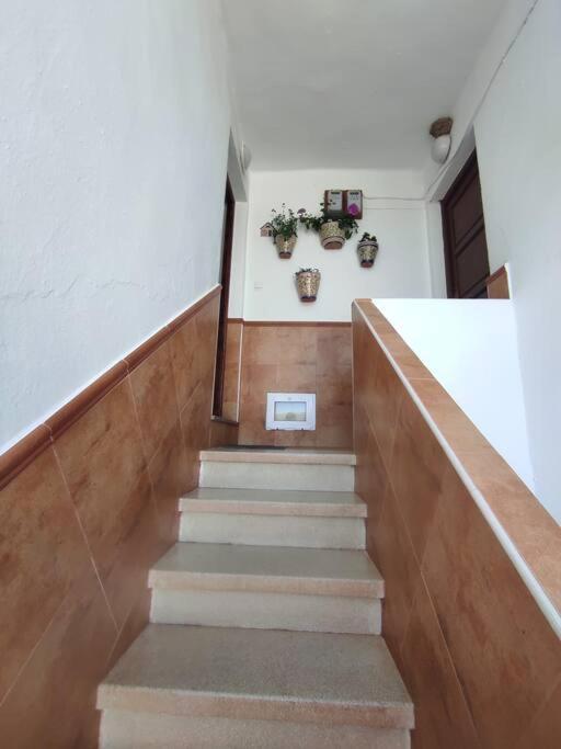 La Casita * Cortes de la Frontera