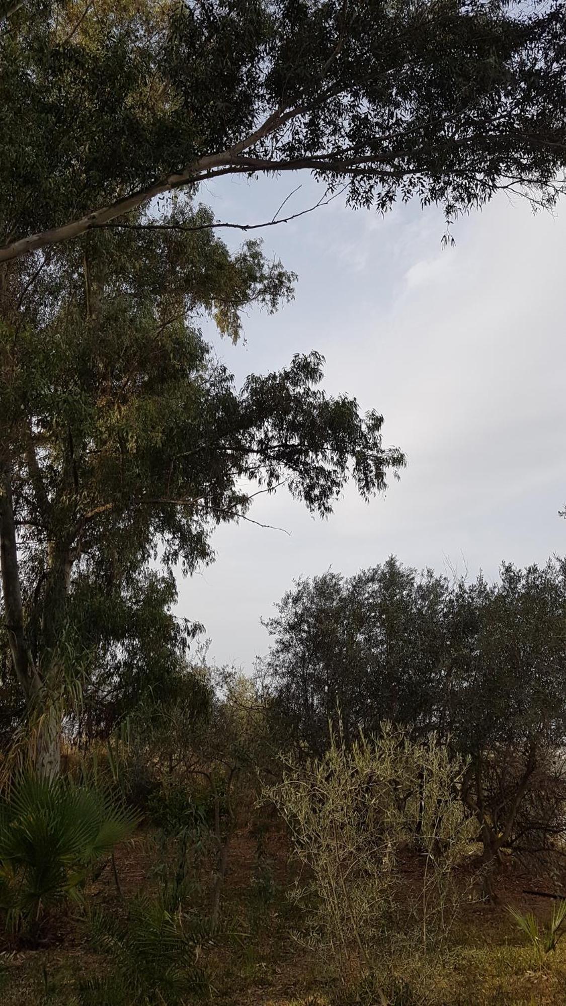 La Ermita Сasa de vacaciones