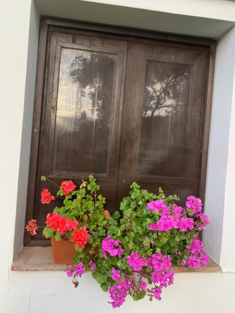 Сasa de vacaciones La Portilla