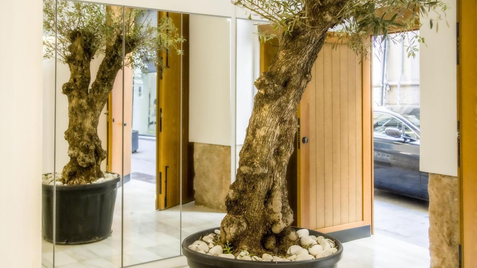 Catalina Downtown Apartahotel 4*