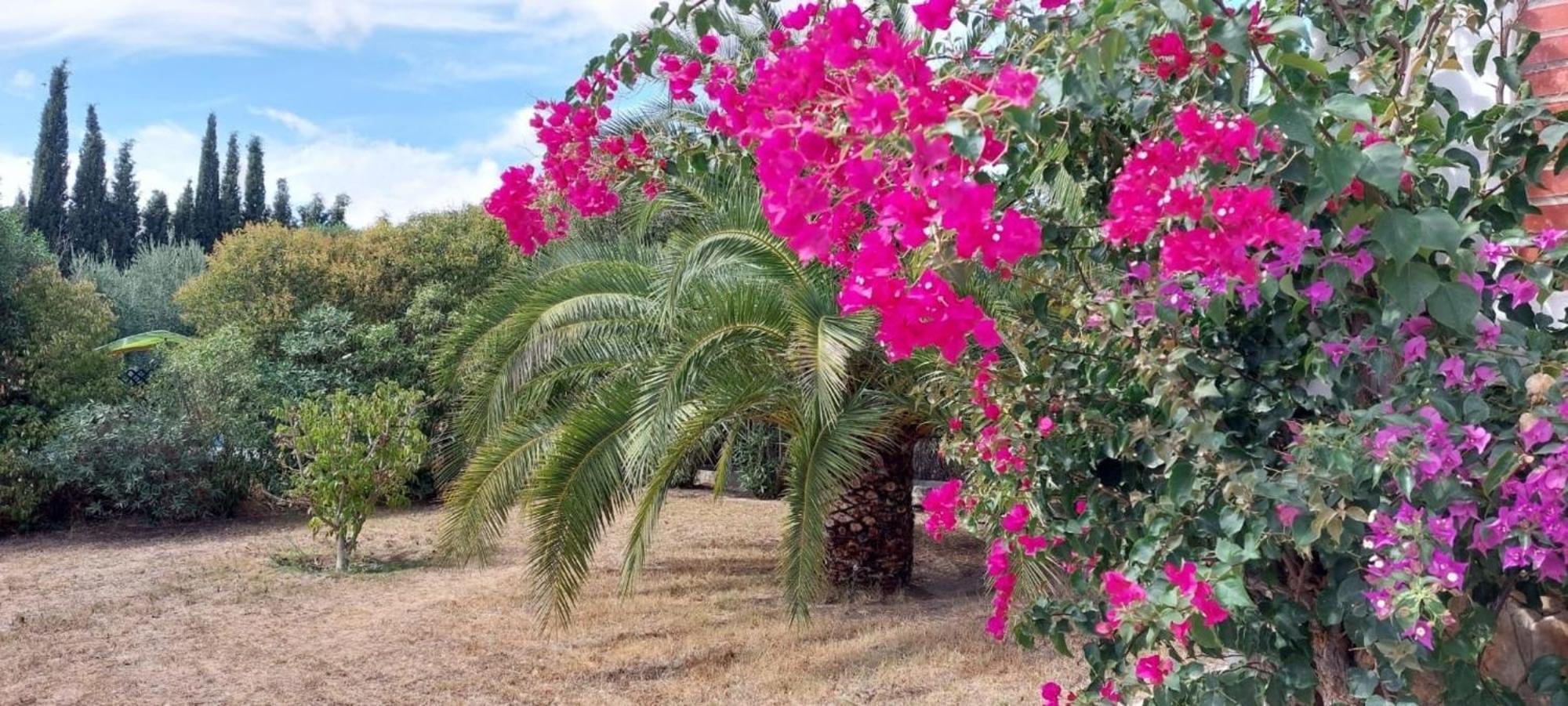 Casita Cacahuete Holiday home Olvera