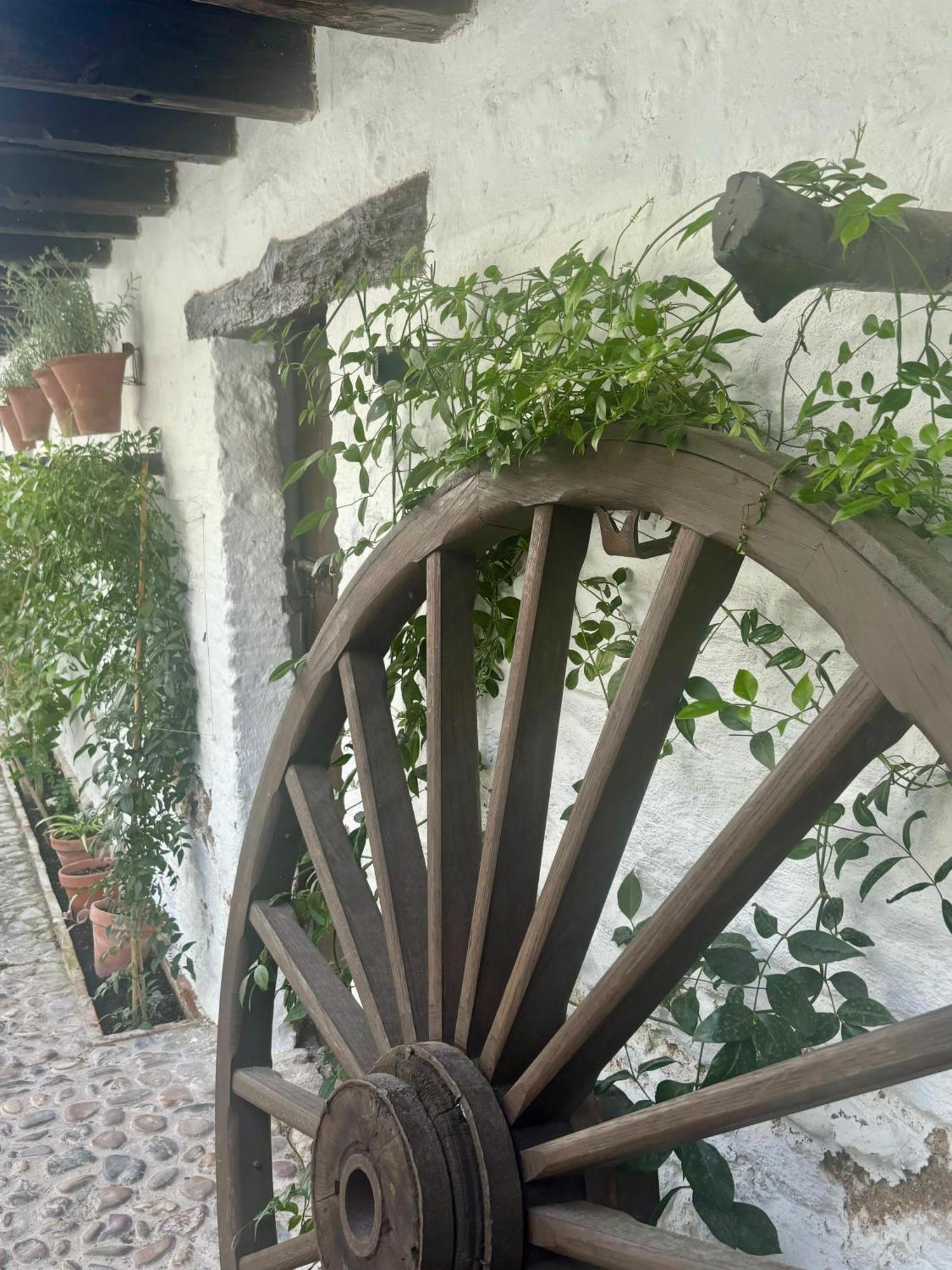 Apartment La Buganvilla De Santiago Cordoba