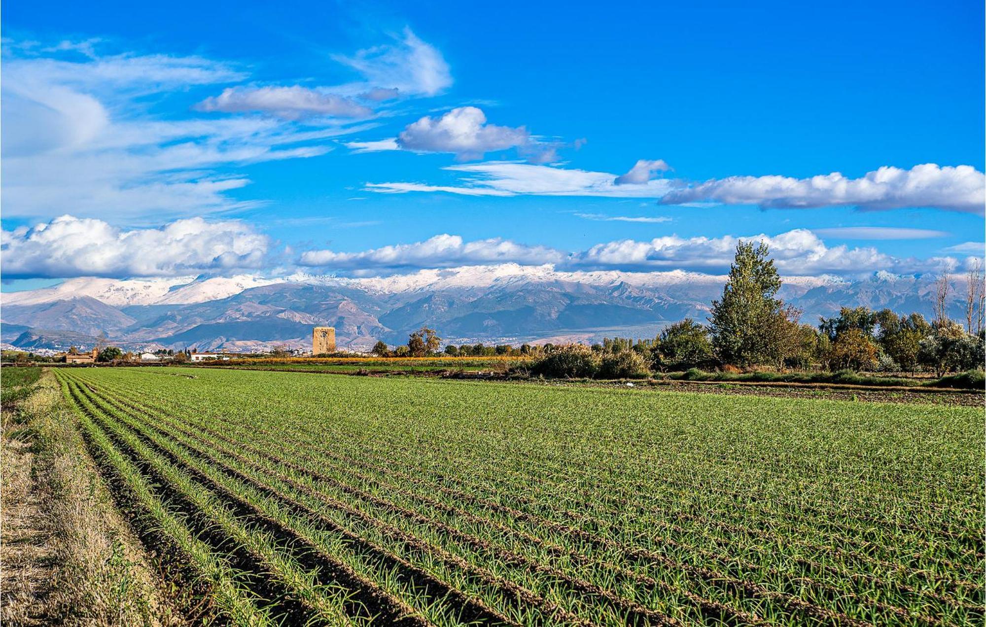 Stunning Air Conditioned House Cijuela