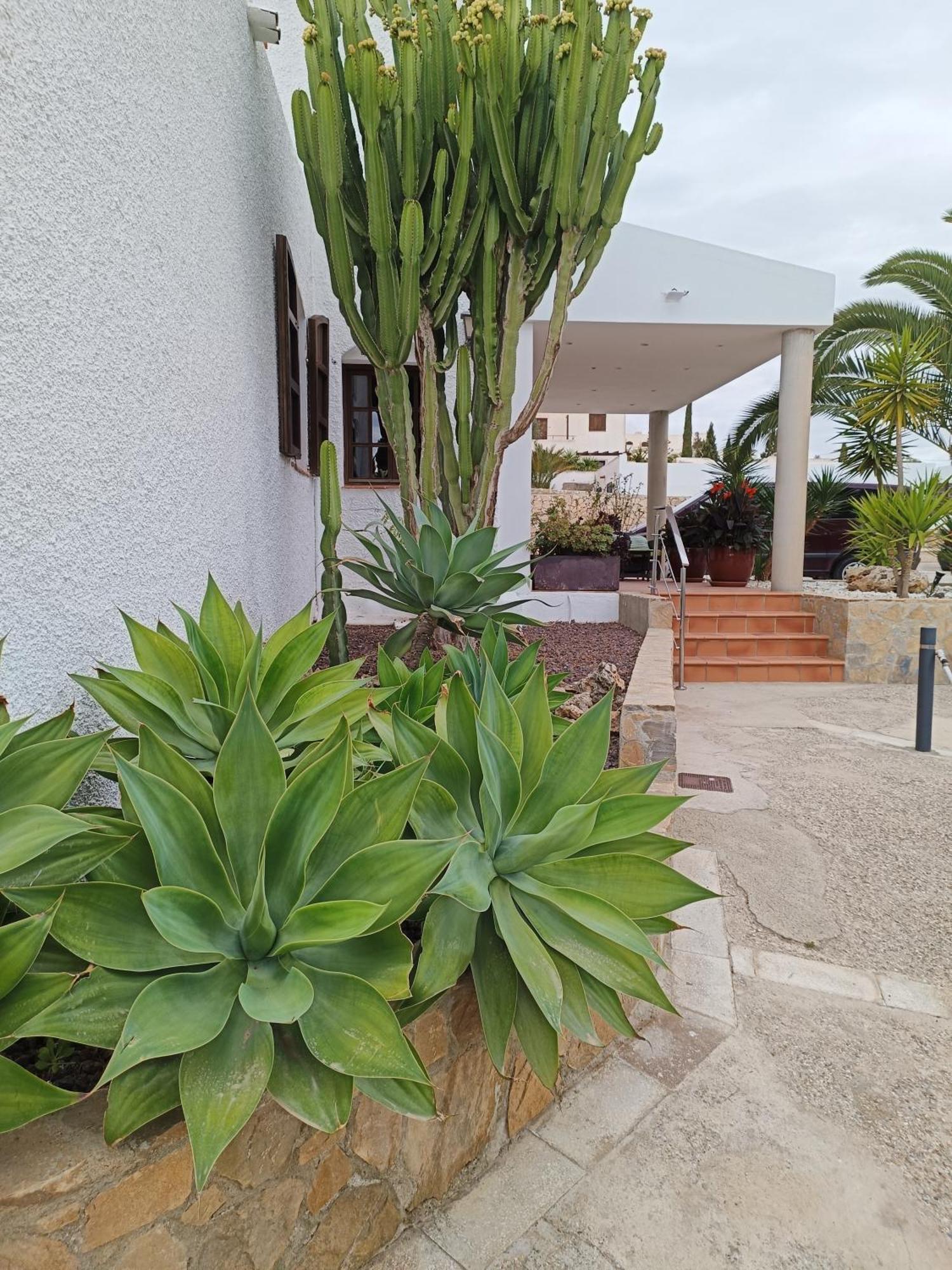 Hotel Family Agua Amarga (Almeria)