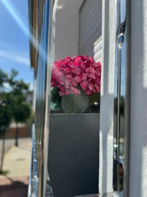 Practico, Centrico, Unico Y Moderno. Apartamento *