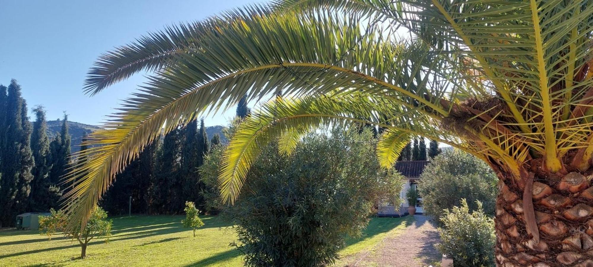 Holiday home Casita Cacahuete Olvera