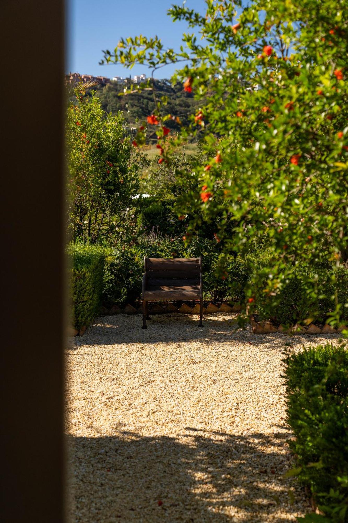 Viluz - Wellbeing Marbella *