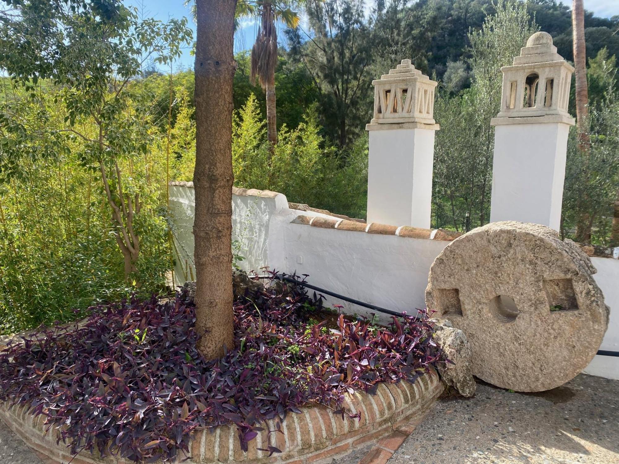 Malaga Sierra De Nieves By Real Spain Adults Recommended
