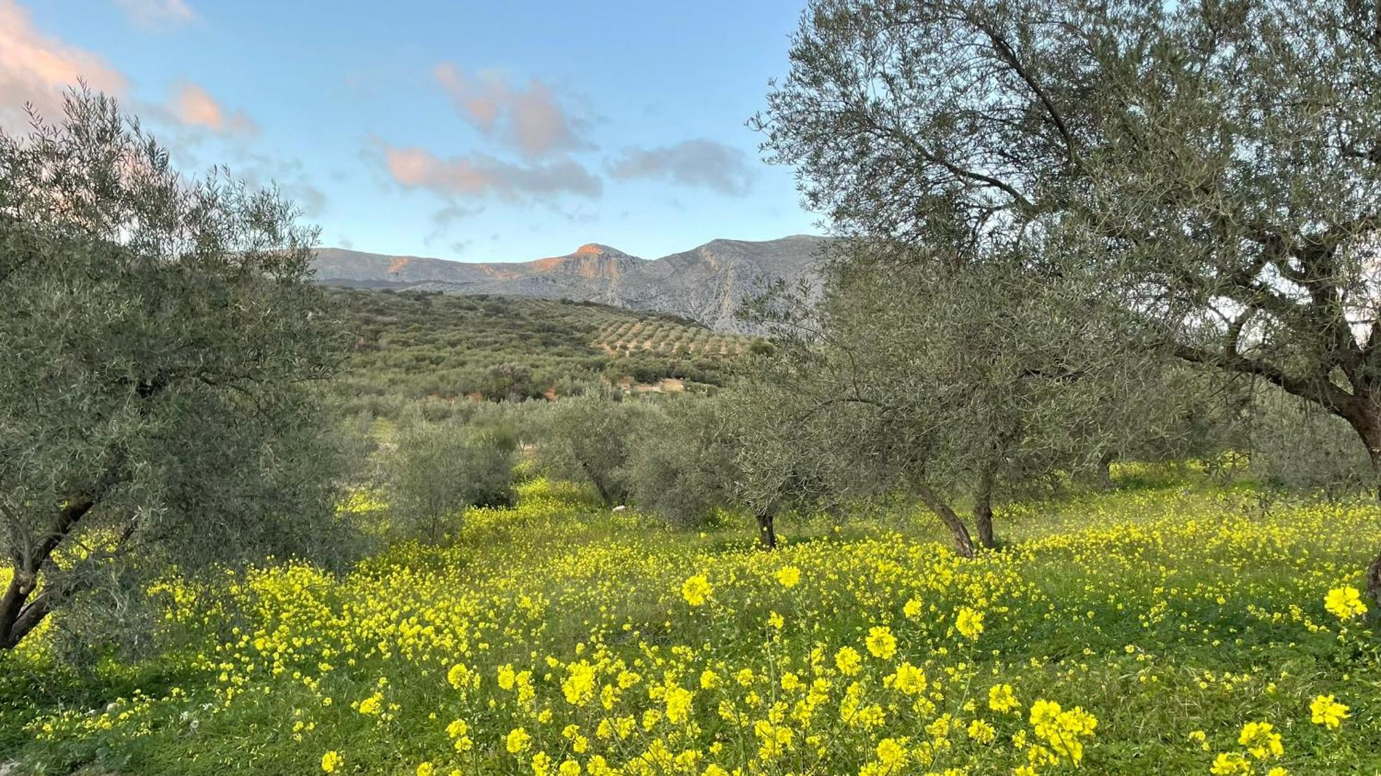 Bed and breakfast Valle *