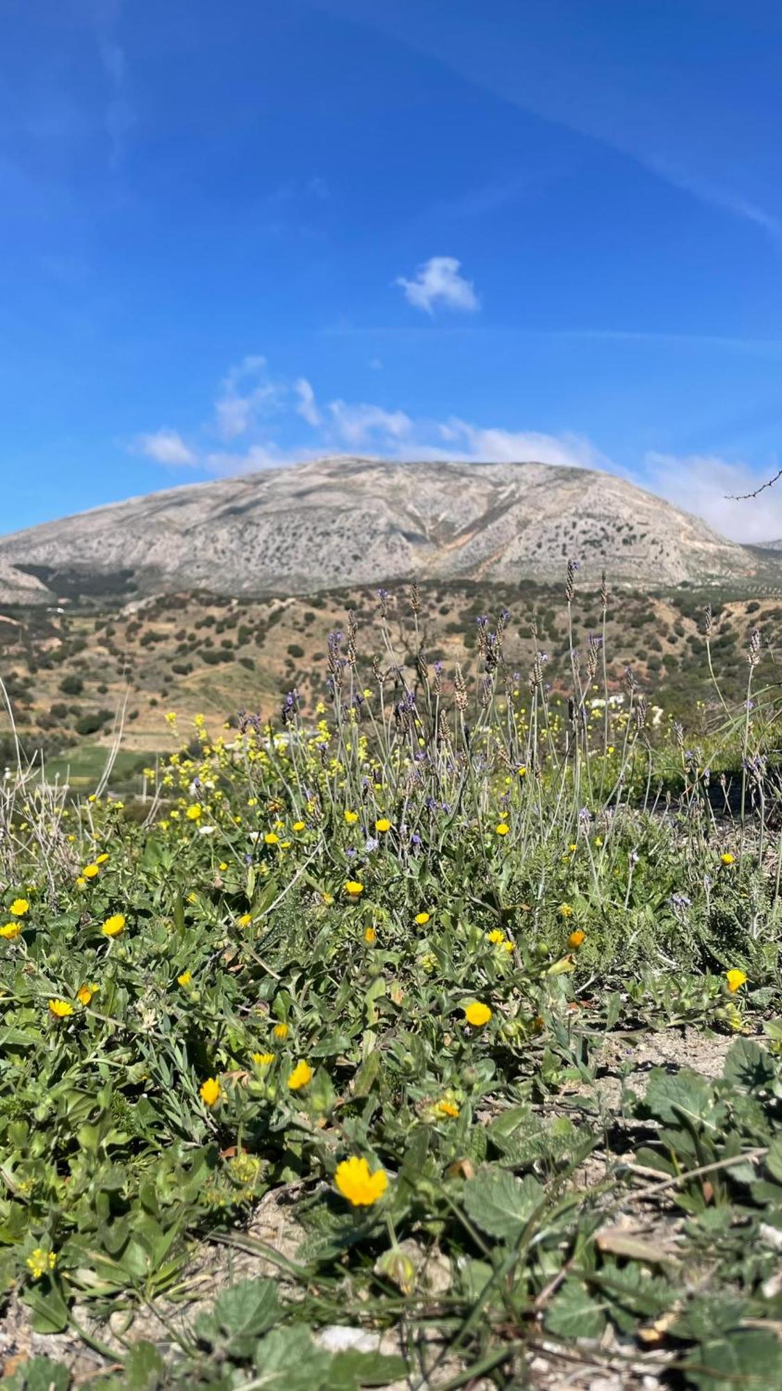 Valle Álora