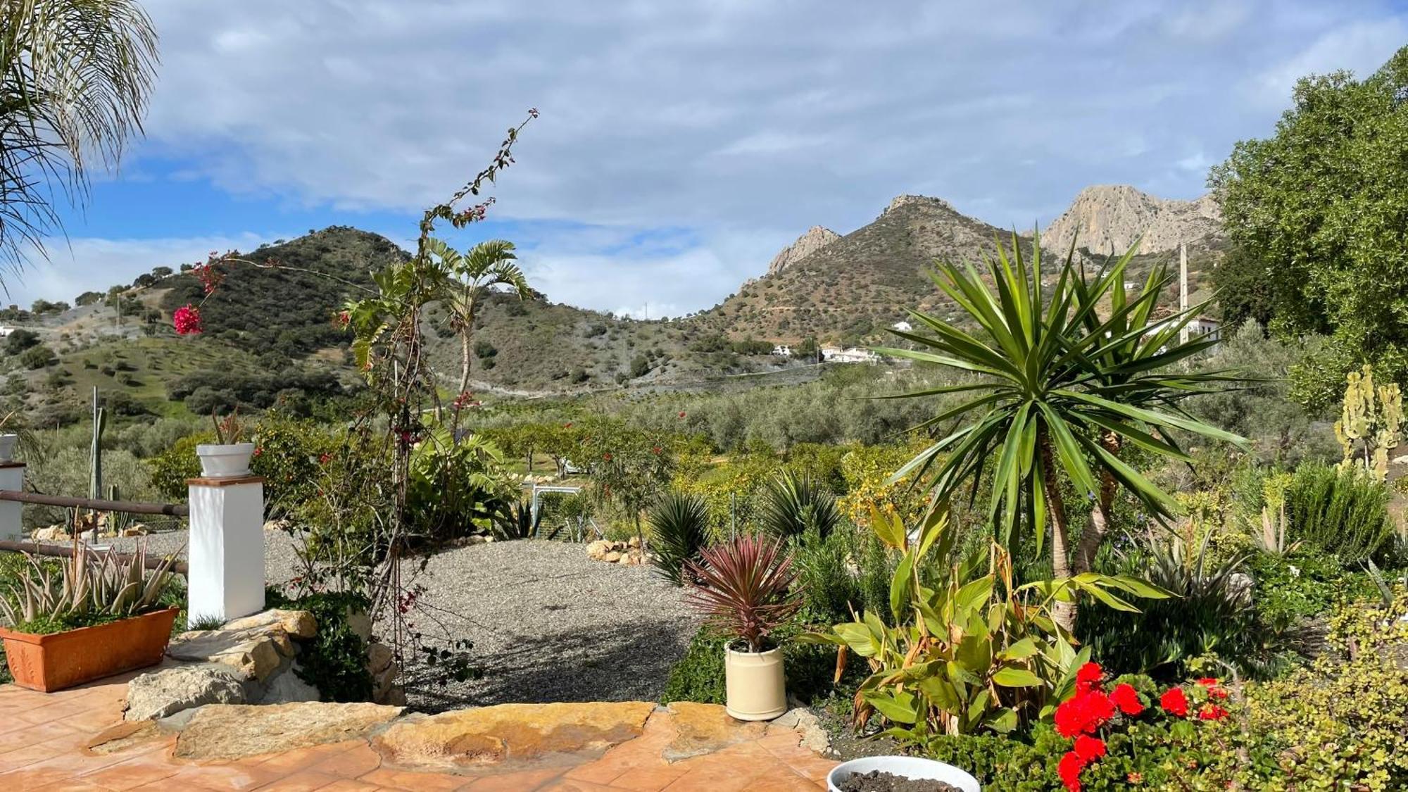 Valle Álora